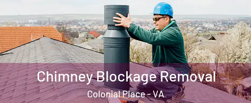 Chimney Blockage Removal Colonial Place - VA