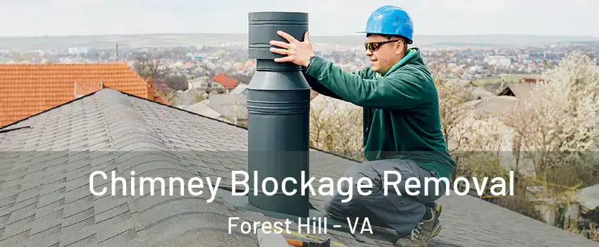 Chimney Blockage Removal Forest Hill - VA