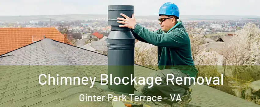 Chimney Blockage Removal Ginter Park Terrace - VA