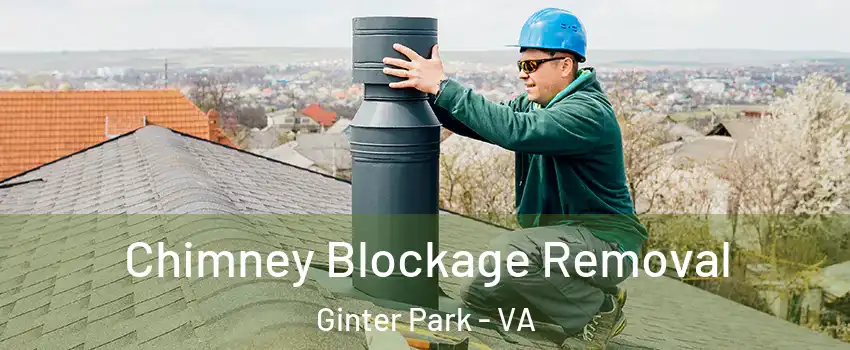 Chimney Blockage Removal Ginter Park - VA