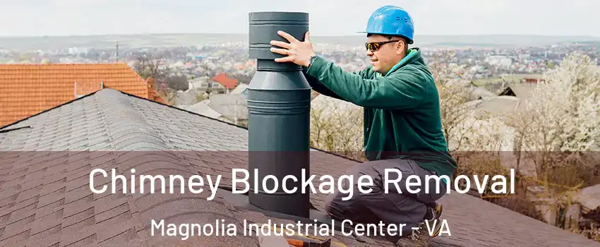 Chimney Blockage Removal Magnolia Industrial Center - VA