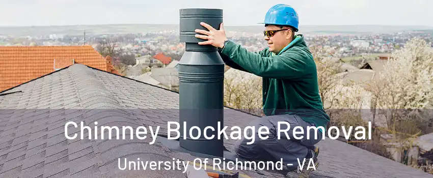 Chimney Blockage Removal University Of Richmond - VA