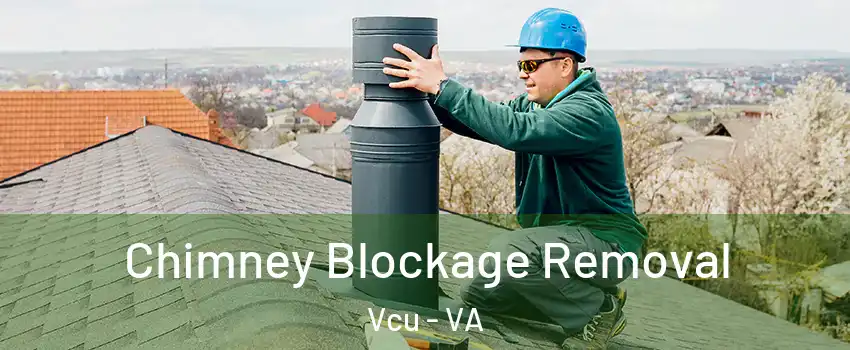Chimney Blockage Removal Vcu - VA