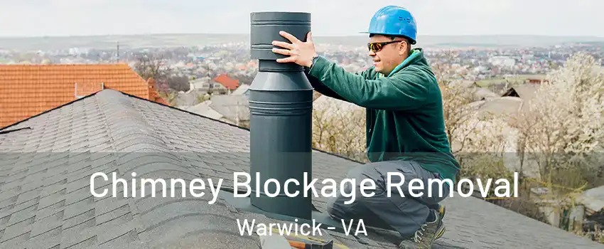 Chimney Blockage Removal Warwick - VA