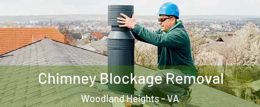 Chimney Blockage Removal Woodland Heights - VA