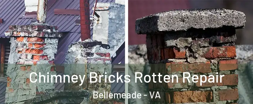 Chimney Bricks Rotten Repair Bellemeade - VA