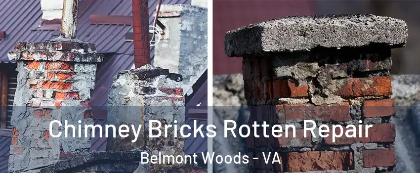 Chimney Bricks Rotten Repair Belmont Woods - VA