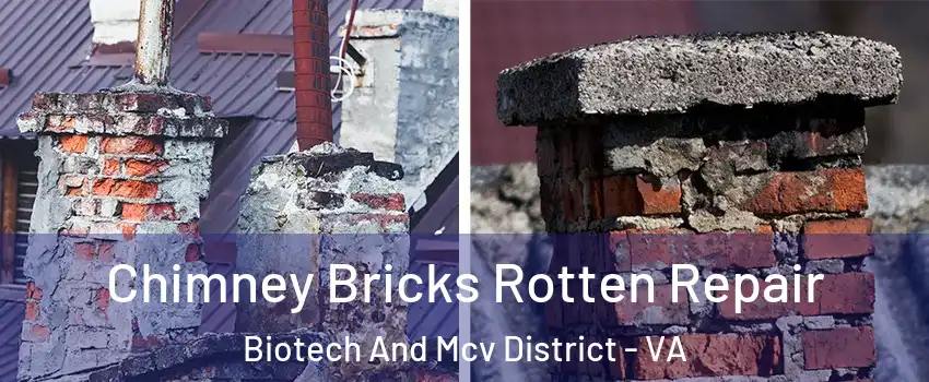 Chimney Bricks Rotten Repair Biotech And Mcv District - VA