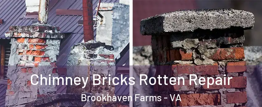 Chimney Bricks Rotten Repair Brookhaven Farms - VA