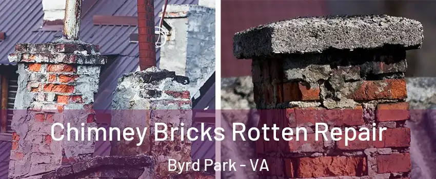 Chimney Bricks Rotten Repair Byrd Park - VA