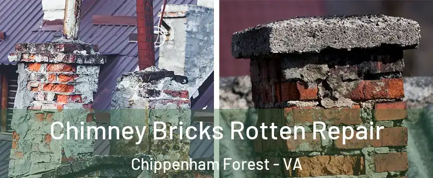 Chimney Bricks Rotten Repair Chippenham Forest - VA
