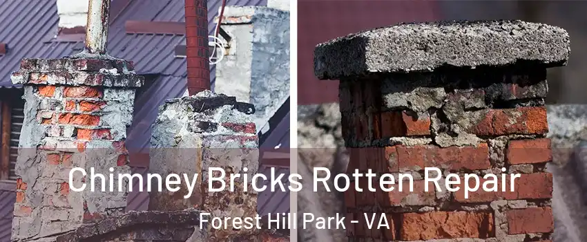 Chimney Bricks Rotten Repair Forest Hill Park - VA