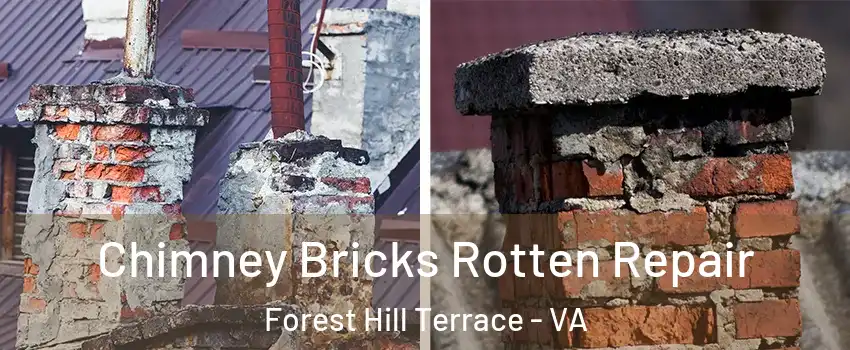 Chimney Bricks Rotten Repair Forest Hill Terrace - VA