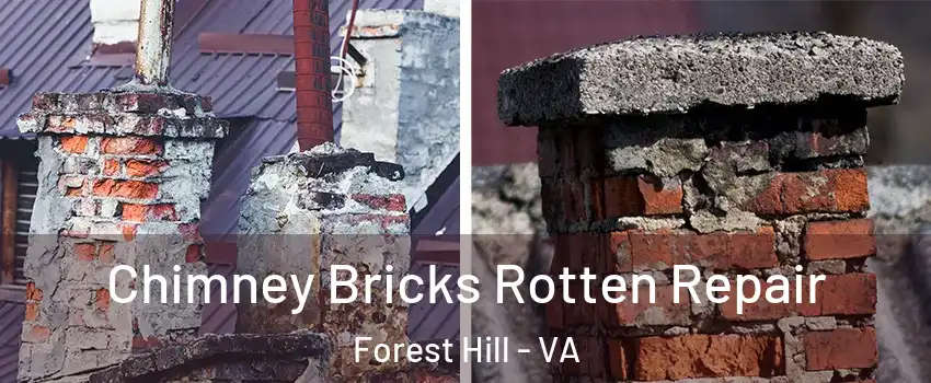 Chimney Bricks Rotten Repair Forest Hill - VA