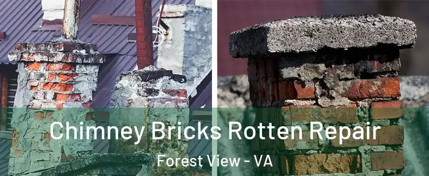 Chimney Bricks Rotten Repair Forest View - VA