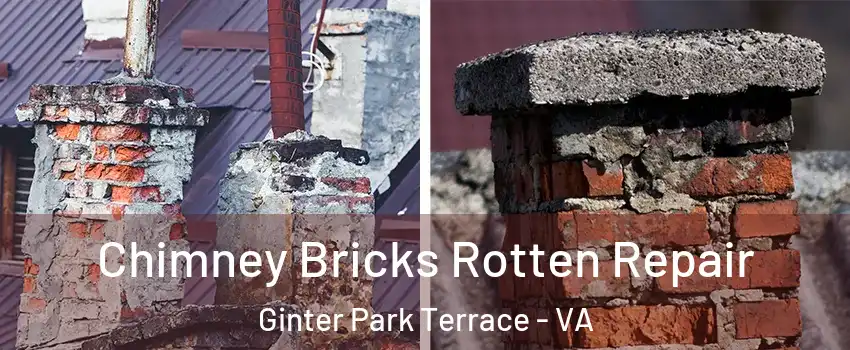 Chimney Bricks Rotten Repair Ginter Park Terrace - VA