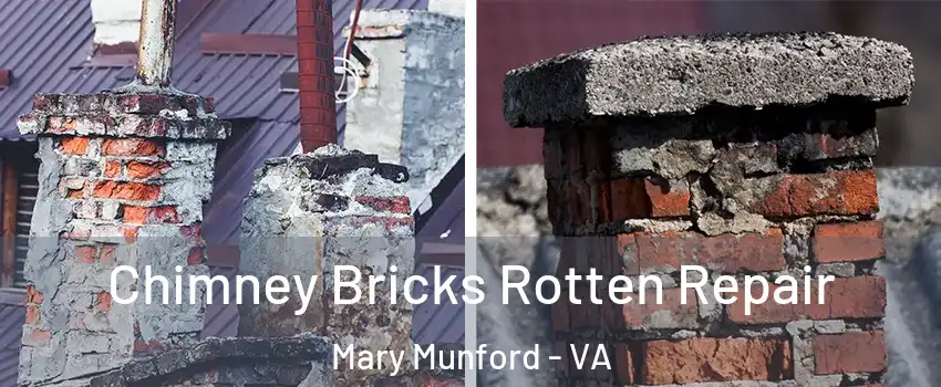 Chimney Bricks Rotten Repair Mary Munford - VA