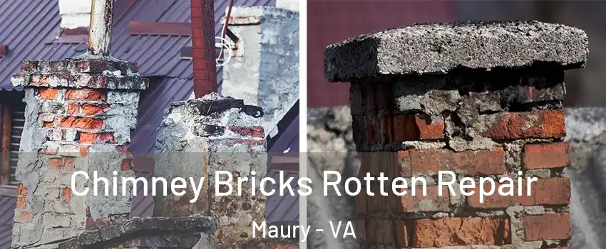 Chimney Bricks Rotten Repair Maury - VA