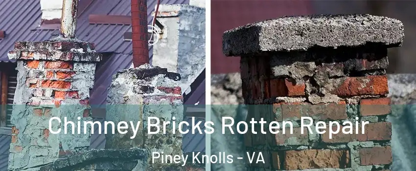 Chimney Bricks Rotten Repair Piney Knolls - VA