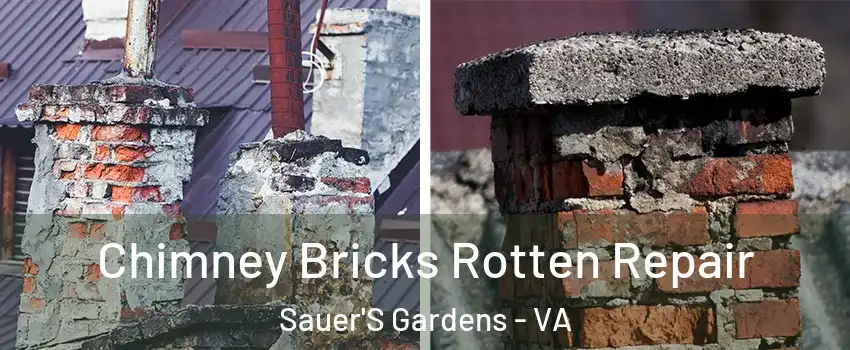 Chimney Bricks Rotten Repair Sauer'S Gardens - VA