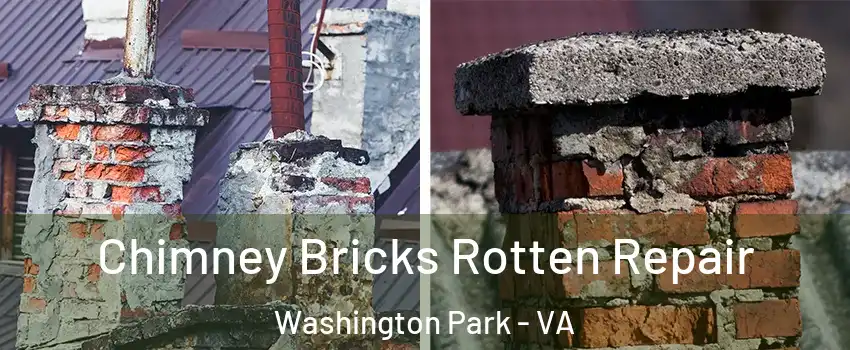 Chimney Bricks Rotten Repair Washington Park - VA
