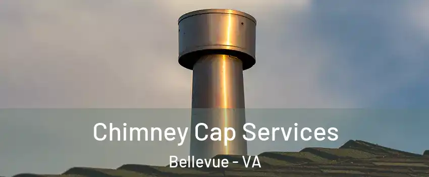 Chimney Cap Services Bellevue - VA