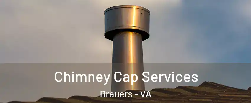 Chimney Cap Services Brauers - VA