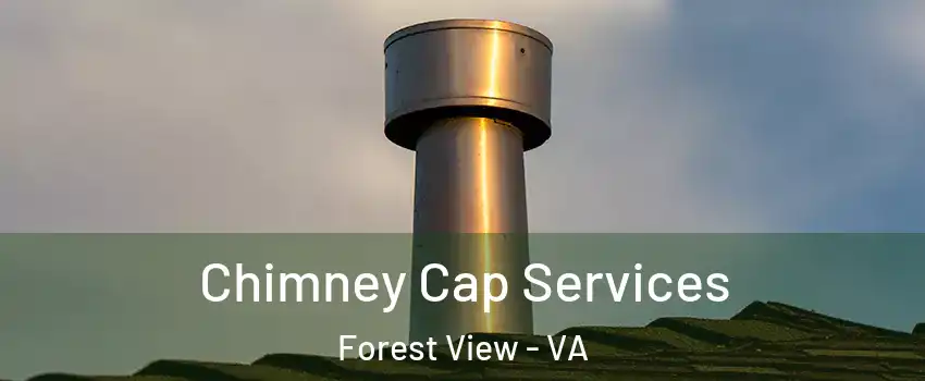 Chimney Cap Services Forest View - VA