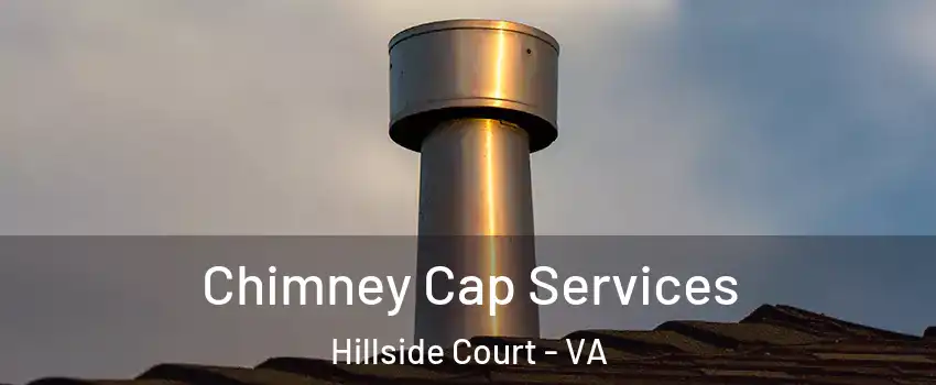 Chimney Cap Services Hillside Court - VA