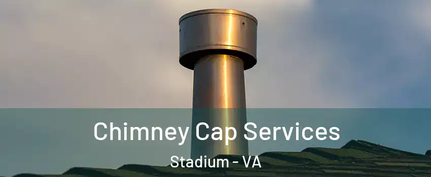 Chimney Cap Services Stadium - VA
