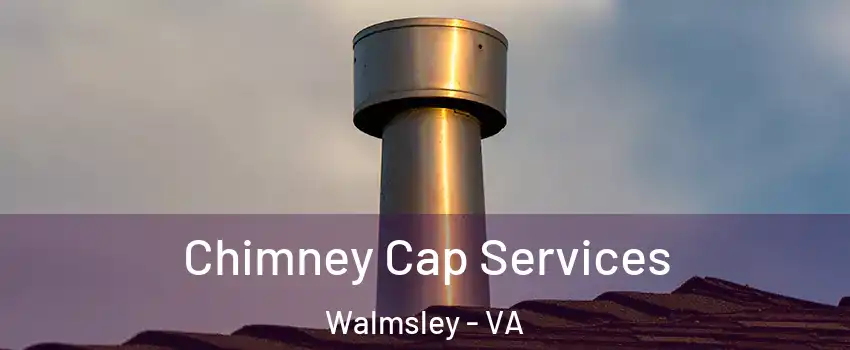 Chimney Cap Services Walmsley - VA