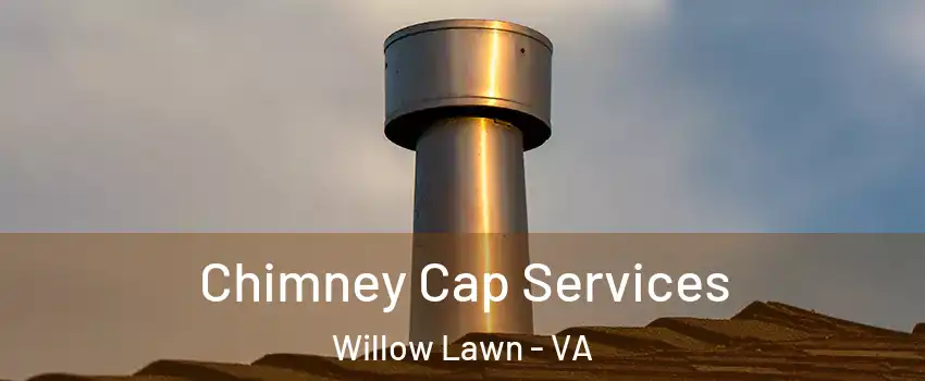 Chimney Cap Services Willow Lawn - VA