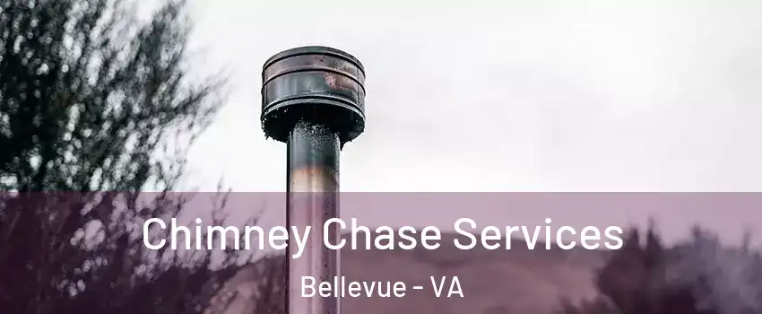 Chimney Chase Services Bellevue - VA