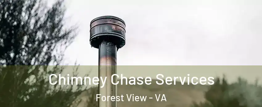 Chimney Chase Services Forest View - VA