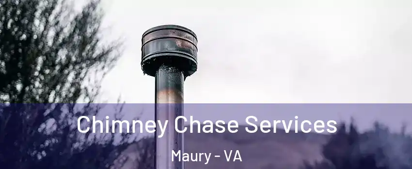 Chimney Chase Services Maury - VA