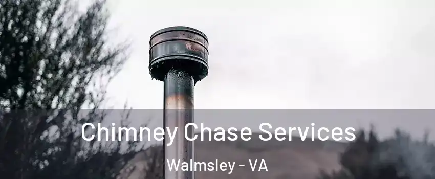 Chimney Chase Services Walmsley - VA