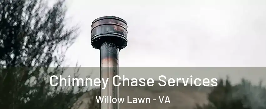 Chimney Chase Services Willow Lawn - VA