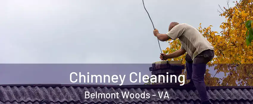 Chimney Cleaning Belmont Woods - VA
