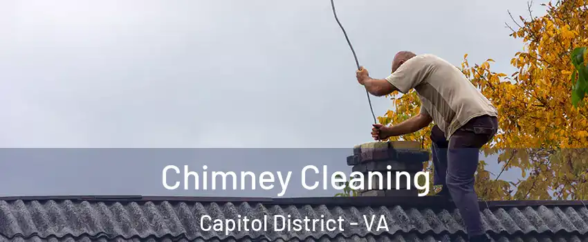 Chimney Cleaning Capitol District - VA