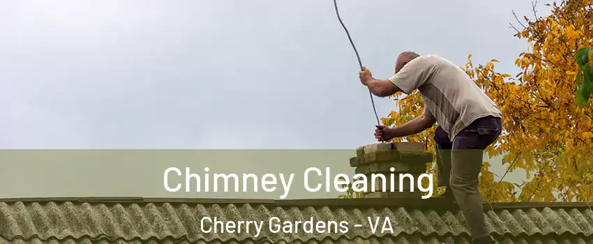 Chimney Cleaning Cherry Gardens - VA