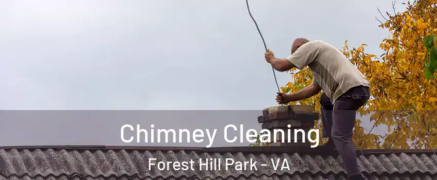 Chimney Cleaning Forest Hill Park - VA