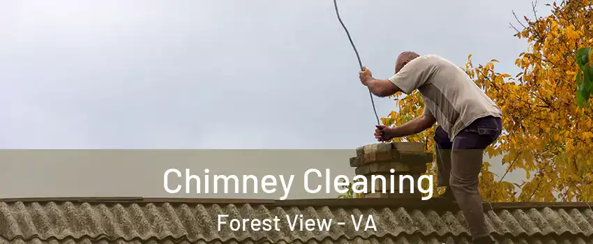Chimney Cleaning Forest View - VA