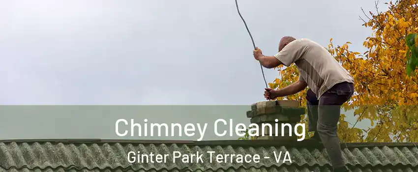 Chimney Cleaning Ginter Park Terrace - VA
