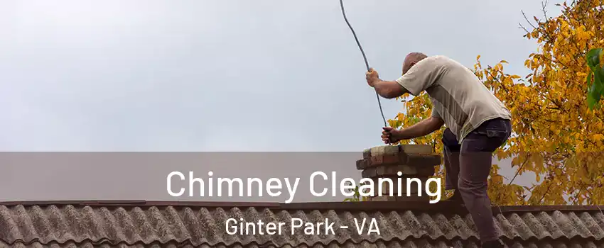 Chimney Cleaning Ginter Park - VA