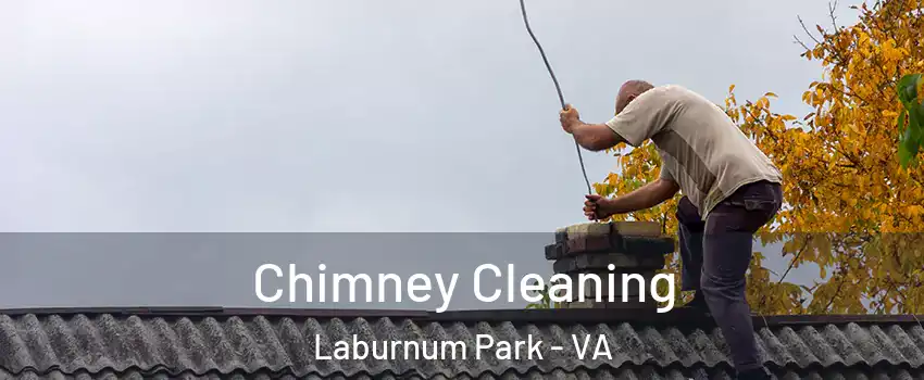 Chimney Cleaning Laburnum Park - VA