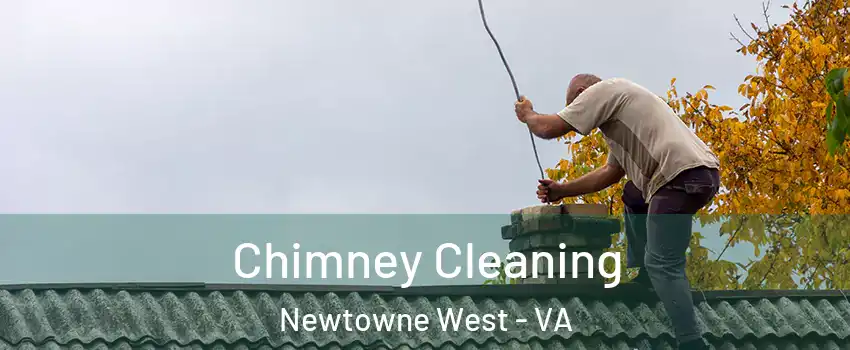 Chimney Cleaning Newtowne West - VA