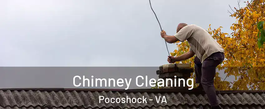 Chimney Cleaning Pocoshock - VA