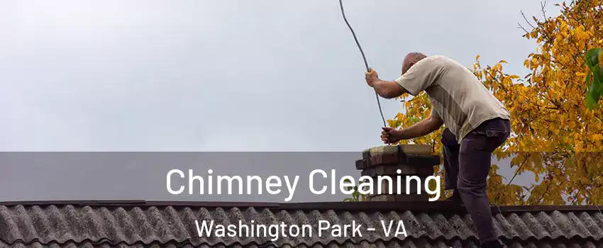 Chimney Cleaning Washington Park - VA