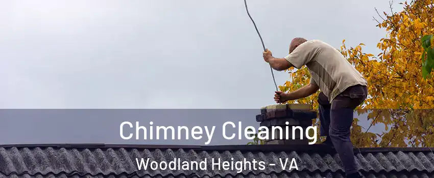Chimney Cleaning Woodland Heights - VA