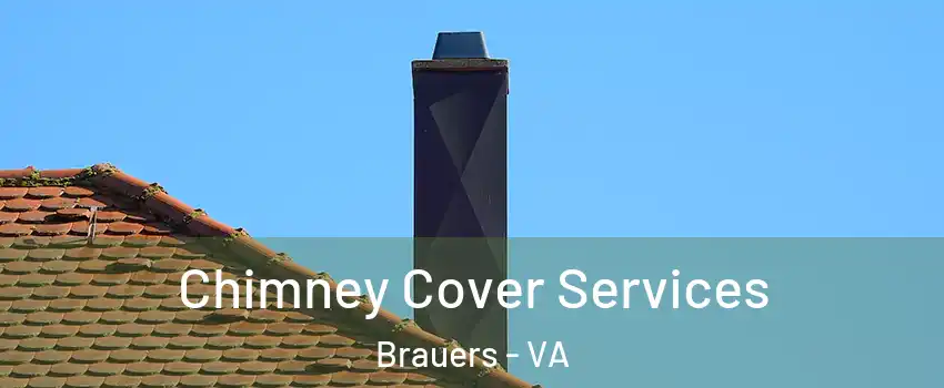 Chimney Cover Services Brauers - VA